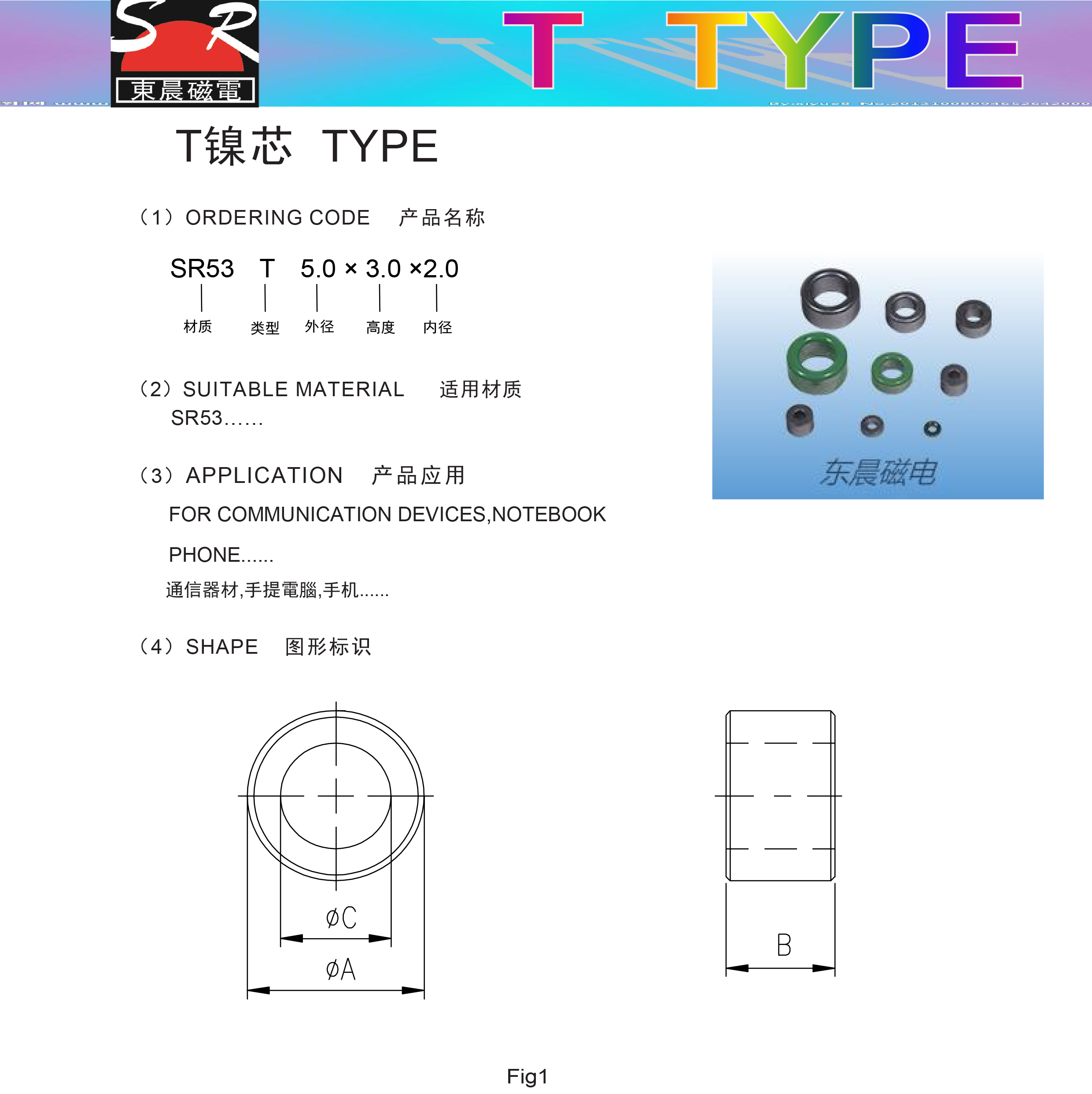 T型-1.jpg
